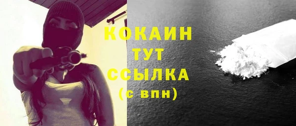 крисы Новозыбков