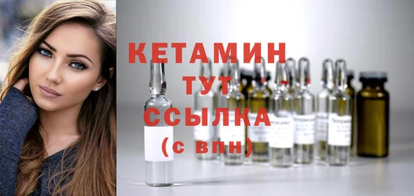 крисы Новозыбков