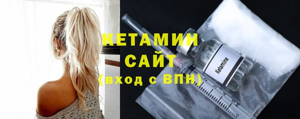 крисы Новозыбков