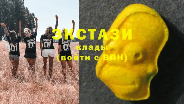 крисы Новозыбков
