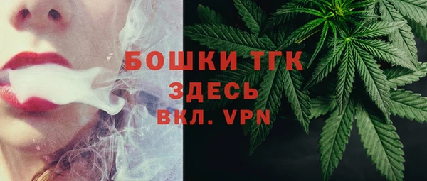 гашик Нея