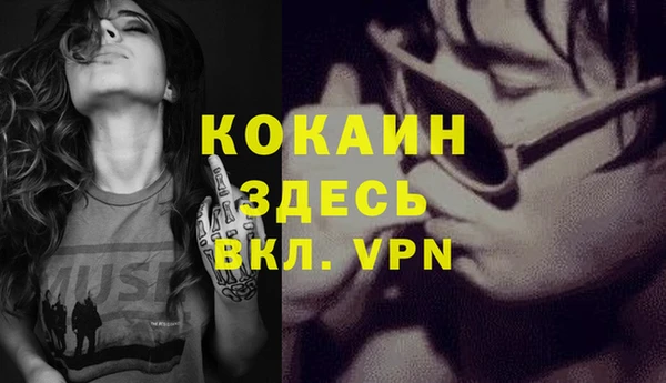 гашик Нея