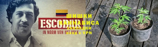крисы Новозыбков