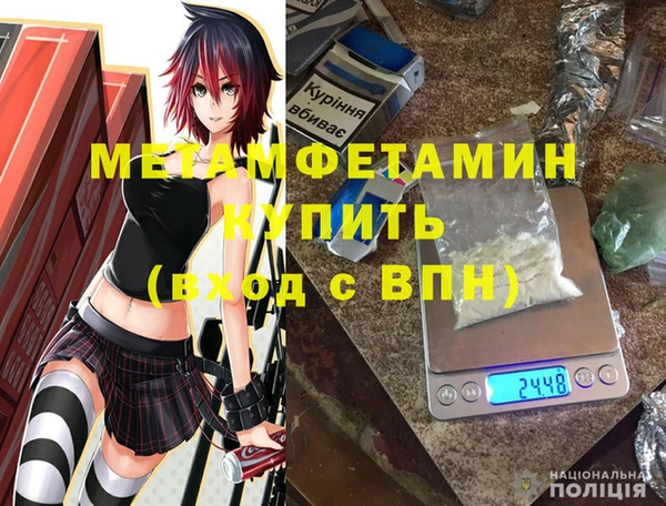 крисы Новозыбков