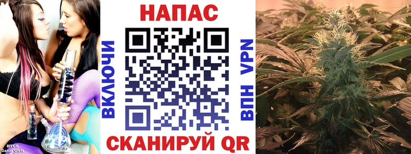 Шишки марихуана планчик Нерчинск